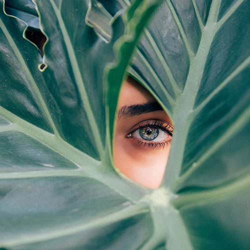 Eyelash Tinting Beauty at Savvy Brisbane